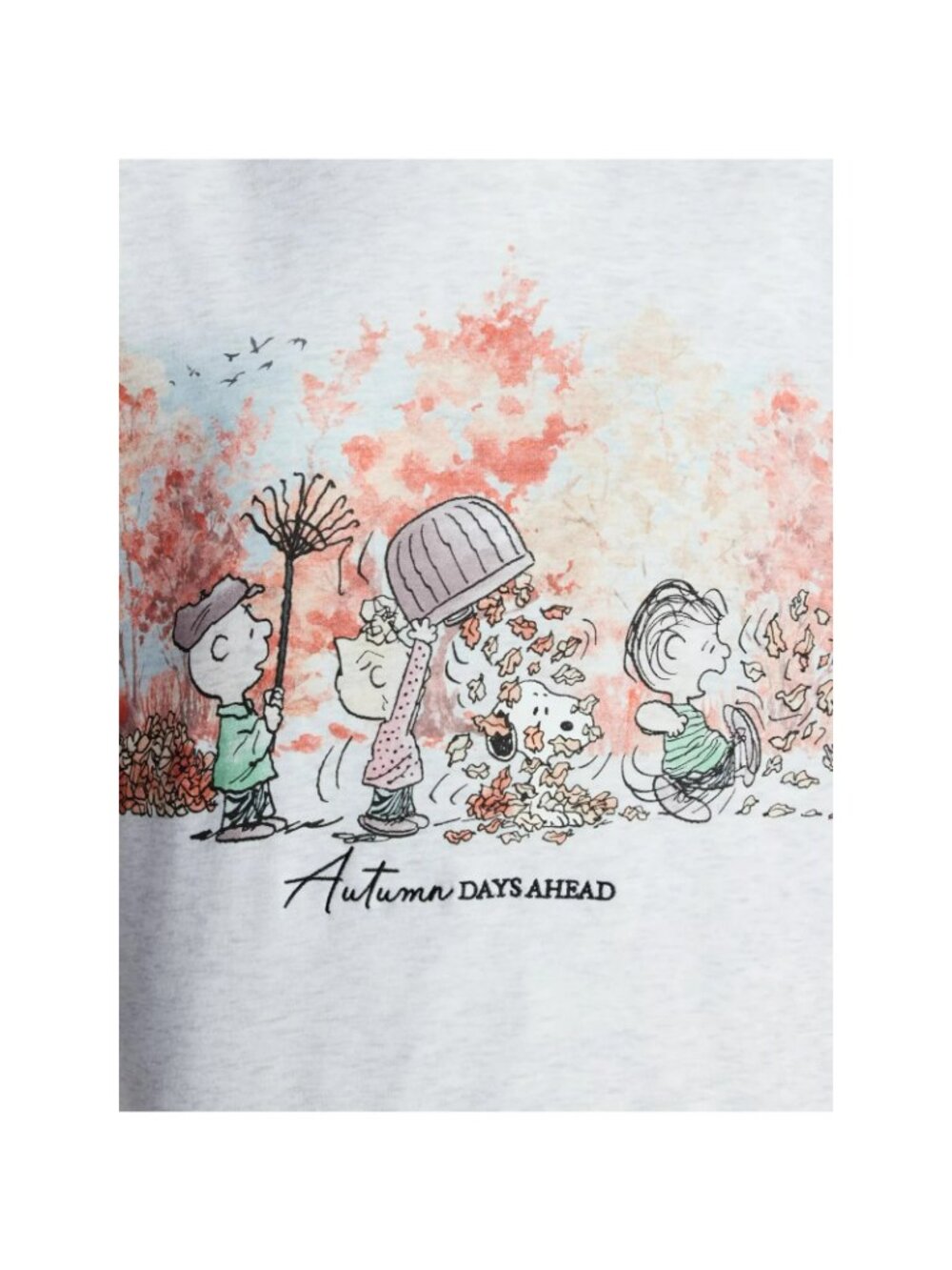 Peanuts Gang Snoopy And Friends Womens Large Autumn Days Ahead Sweatshirt - Picture 6 of 16